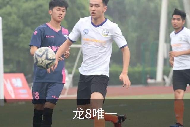 龙8唯一